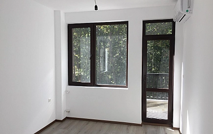 ID 3720 Grin paradajse 4 Zdjęcie 4