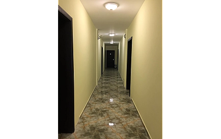 ID 3720 Grin paradajse 4 Zdjęcie 5