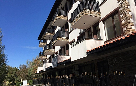 ID 3720 Grin paradajse 4 Zdjęcie 7