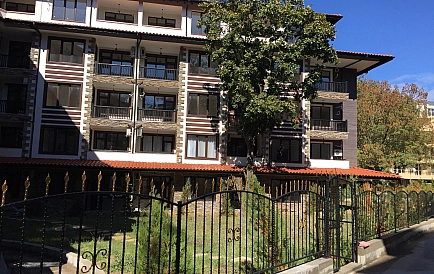 ID 3720 Grin paradajse 4 Zdjęcie 8