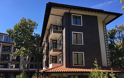 ID 3720 Grin paradajse 4 Zdjęcie 9