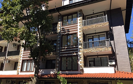 ID 3720 Grin paradajse 4 Zdjęcie 10