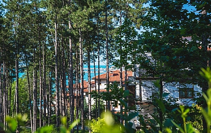 ID 82 Курортный поселок в Созополе Zdjęcie 8