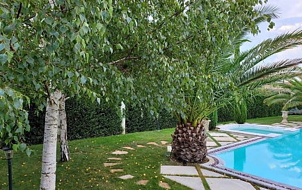 ID 9134 Willa w Eden Park Zdjęcie 8