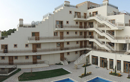 ID 179 Танго Zdjęcie 1 