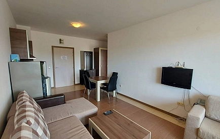 ID 10100 Czernomorec Zdjęcie 6