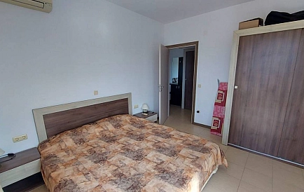 ID 10100 Czernomorec Zdjęcie 10