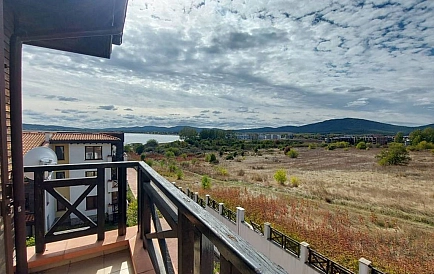 ID 10100 Czernomorec Zdjęcie 3