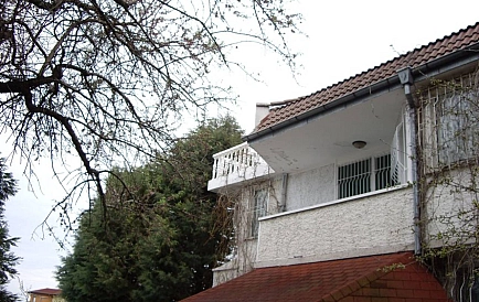 ID 10225 Warna Zdjęcie 8