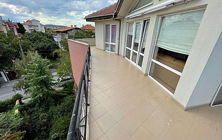 ID 10343 Czernomorec Zdjęcie 6