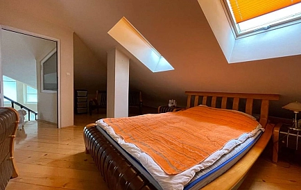 ID 10343 Czernomorec Zdjęcie 10