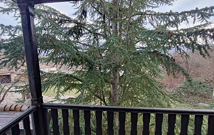 ID 11747 Bjała Zdjęcie 4