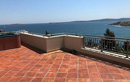 ID 11925 Czernomorec Zdjęcie 2