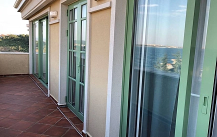 ID 11925 Czernomorec Zdjęcie 9