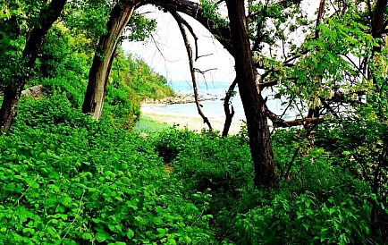 ID 2575 Willa Bistra Zdjęcie 2