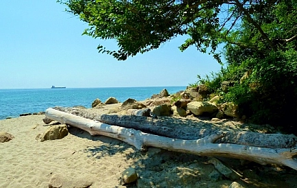 ID 2575 Willa Bistra Zdjęcie 8