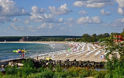 ID 2750 Grin Paradajz 2 Zdjęcie 2