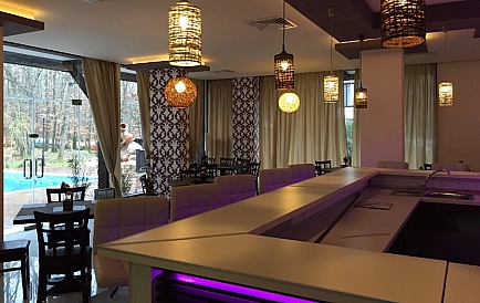 ID 2750 Grin Paradajz 2 Zdjęcie 4