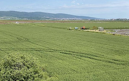 ID 8624 Mieszkanie typu studio w Sunny Day 5 Zdjęcie 8