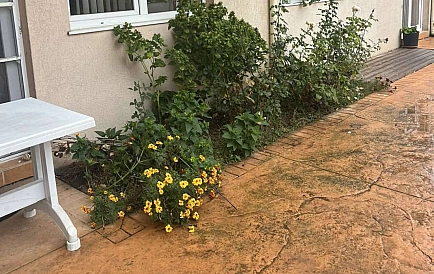 ID 14972 Dwupokojowe mieszkanie w Balkan Breeze 2 Zdjęcie 5