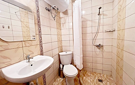 ID 15483 Амадеус 5 Zdjęcie 4