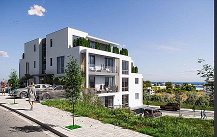 ID 14800 Маэстра Сол Zdjęcie 5