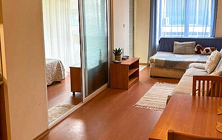 ID 15271 Рэинбоу Zdjęcie 7