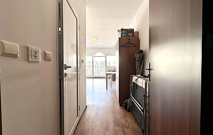 ID 15062 Гербер 4 Zdjęcie 7