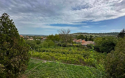 ID 13124 0 Zdjęcie 10