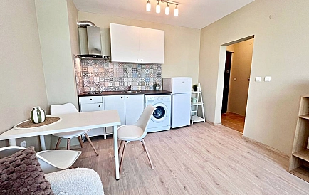 ID 15483 Амадеус 5 Zdjęcie 2