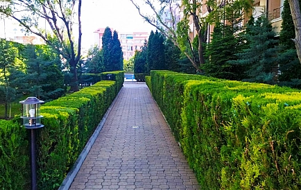 ID 15513 Святая Елена Zdjęcie 9