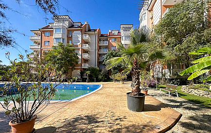 ID 15341 Си Даймонд Zdjęcie 1 