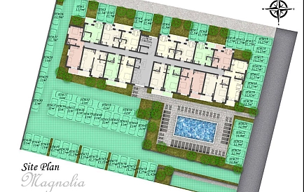 ID 15291 Магнолия 8 Zdjęcie 7