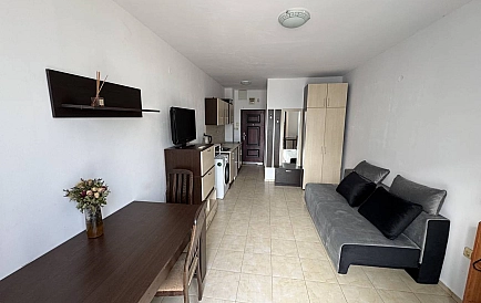 ID 15246 Санни Дей 3 Zdjęcie 9