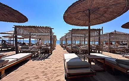 ID 10457 Czernomorec Zdjęcie 7