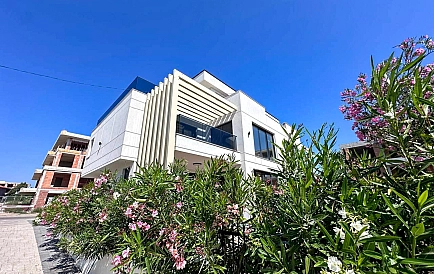 ID 10457 Czernomorec Zdjęcie 4