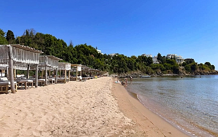 ID 10457 Czernomorec Zdjęcie 5