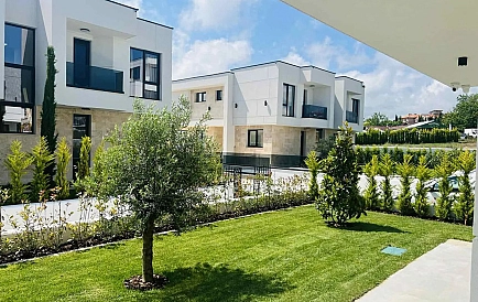 ID 10457 Czernomorec Zdjęcie 8