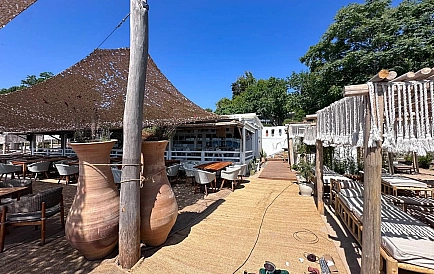 ID 10457 Czernomorec Zdjęcie 3