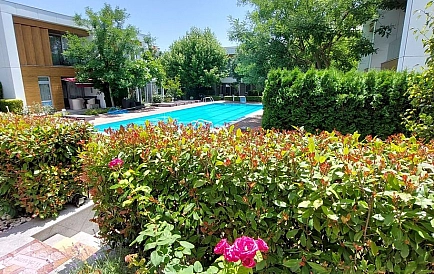 ID 10946 Sarafowo Zdjęcie 2