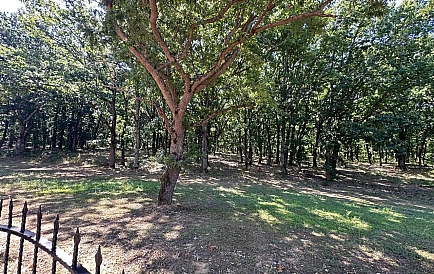 ID 6915 Mieszkania od dewelopera w Primosko Zdjęcie 6