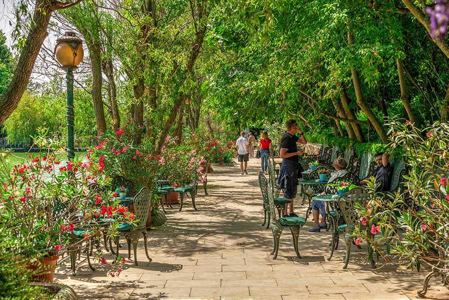 Ogród botaniczny w zamku Ravadinovo