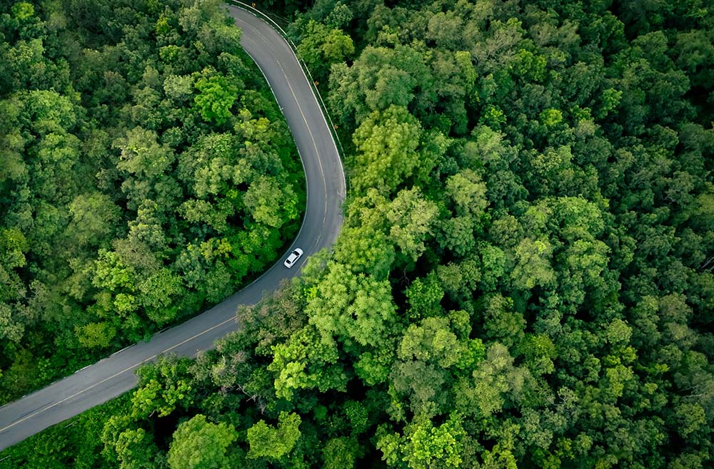 Trasy transportowe z Finlandii do Bułgarii Widok z lotu ptaka na krętą drogę przez gęsty las, ilustrującą szlaki transportowe między miastami Finlandii i Bułgarii